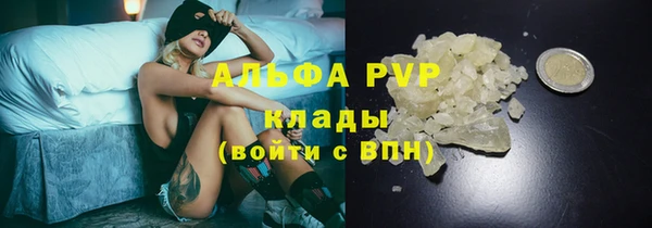 ГАЛЛЮЦИНОГЕННЫЕ ГРИБЫ Вязьма
