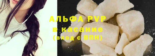 стафф Вяземский