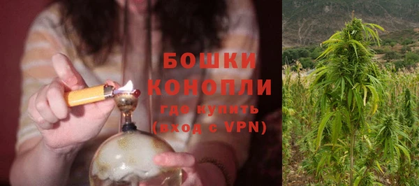 стафф Вяземский
