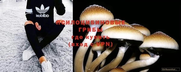 стафф Вяземский