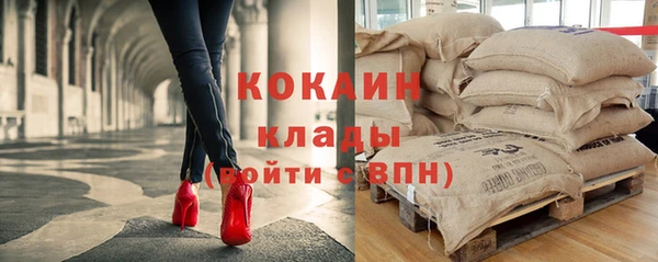 ГАЛЛЮЦИНОГЕННЫЕ ГРИБЫ Вязьма