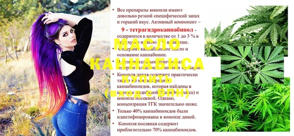 стафф Вяземский